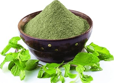 Dehydrated Mint Powder - Image 2