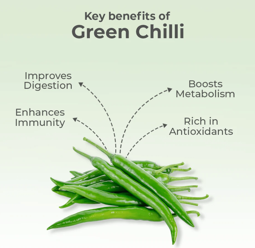 Dehydrated Green Chilli Powder - Image 3