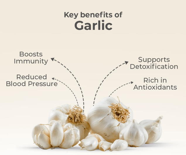 Dehydrated Garlic Powder - Image 3