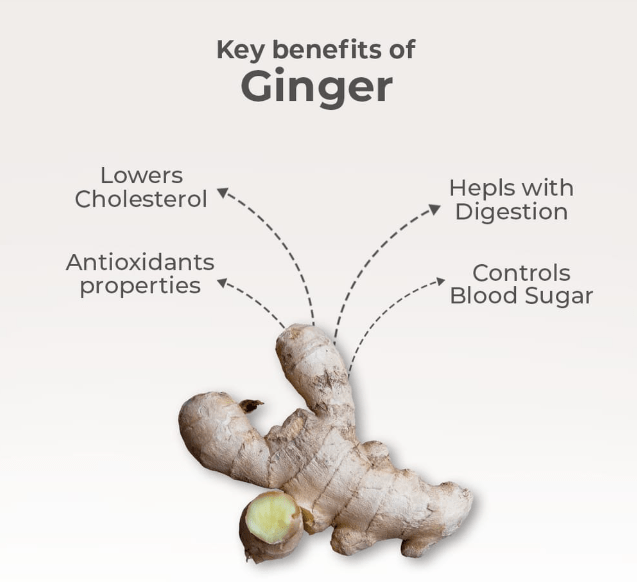 Dehydrated Ginger Powder - Image 3