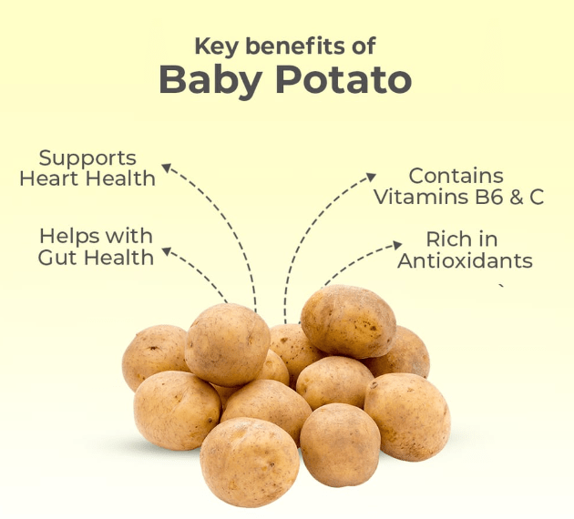 Dehydrated Potato Powder - Image 3