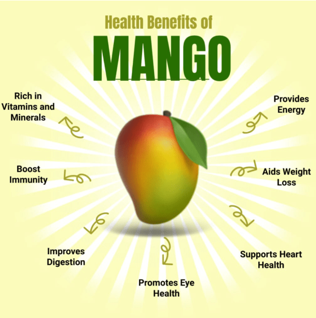 Dehydrated Mango Powder - Image 3