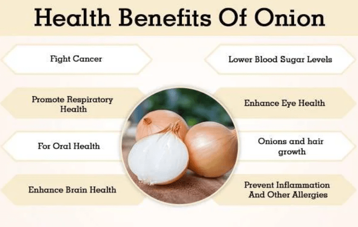 Dehydrated White Onion Powder - Image 3